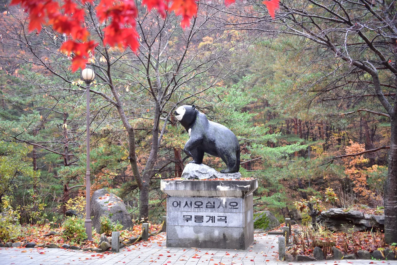 동해 무릉계곡 단풍