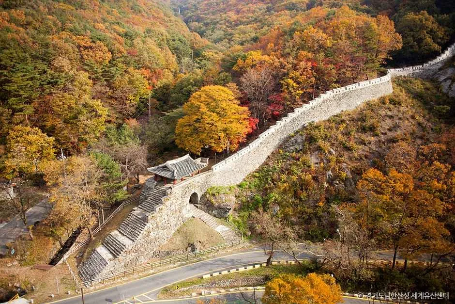 "봄엔 벚꽃 터널, 겨울엔 체인이 필요합니다"… 남한산성, 사계절이 다른 길이 됩니다
