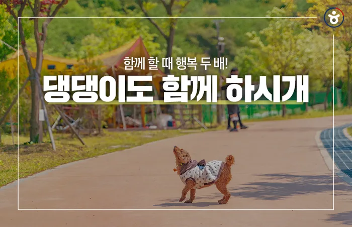 "무릎에 안고 운전하면 범칙금입니다"… 반려동물과 떠나기 전에