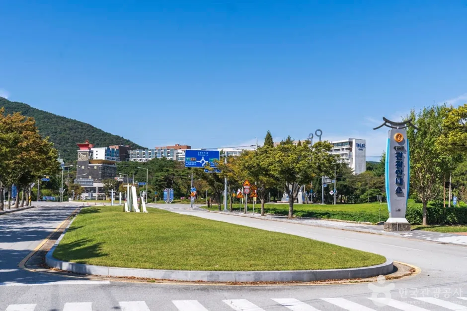 온천 관광특구 도로