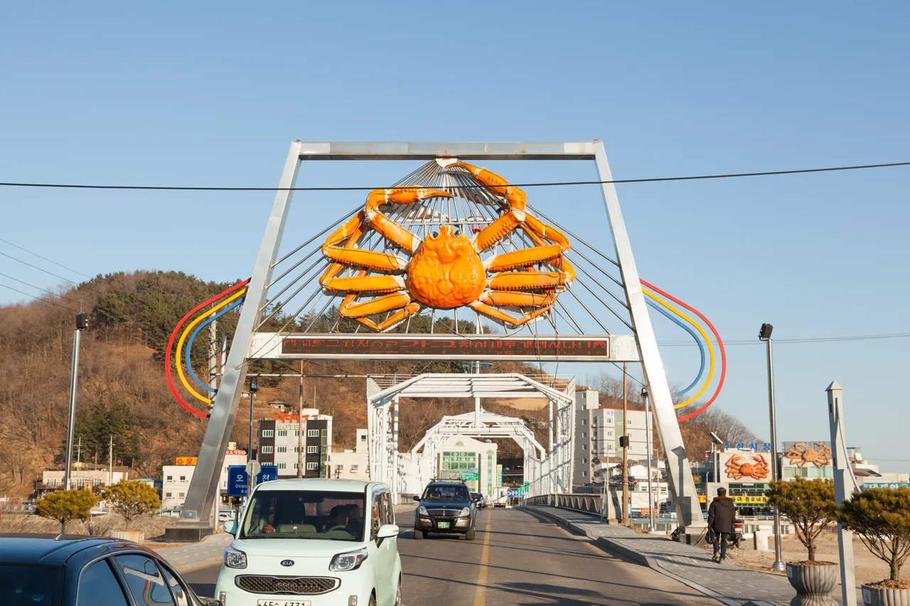 영덕 강구항 진입로