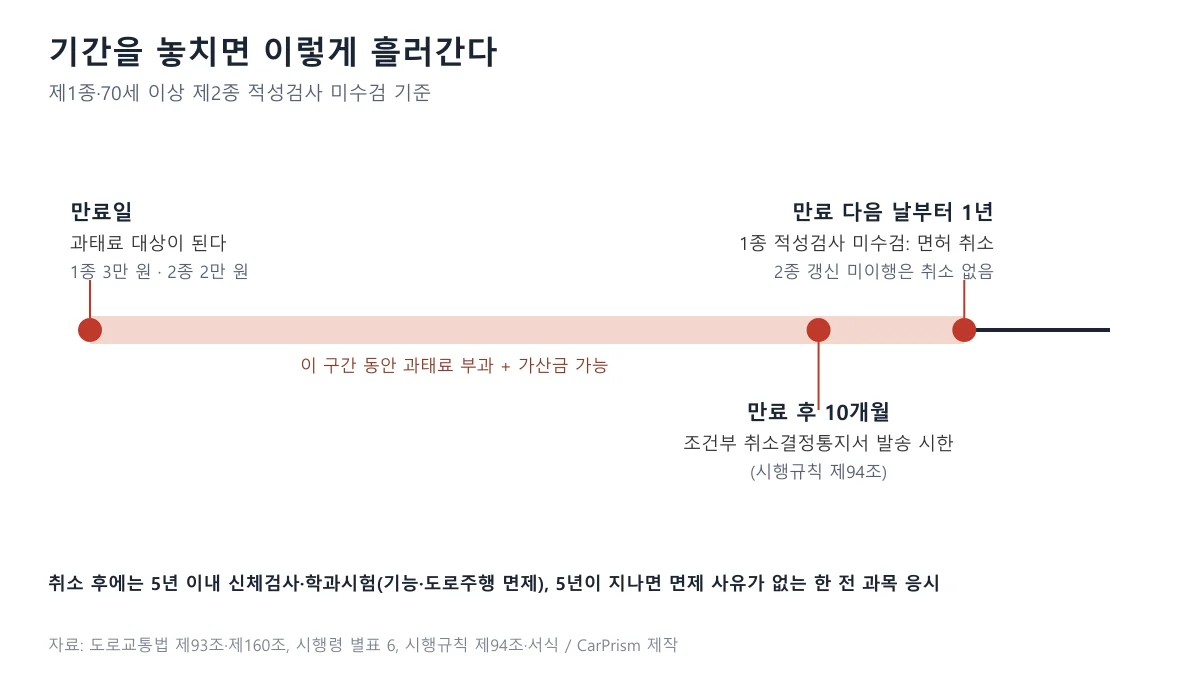 적성검사 기간 만료일, 만료 후 10개월, 만료 다음 날부터 1년을 표시한 면허 취소 진행 타임라인