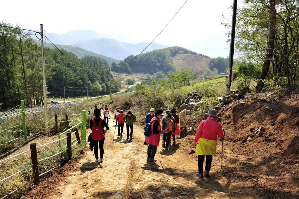등산로 들머리로 이어지는 비포장 진입로를 걷는 등산객들, 좌우로 전신주와 밭이 늘어서 있다