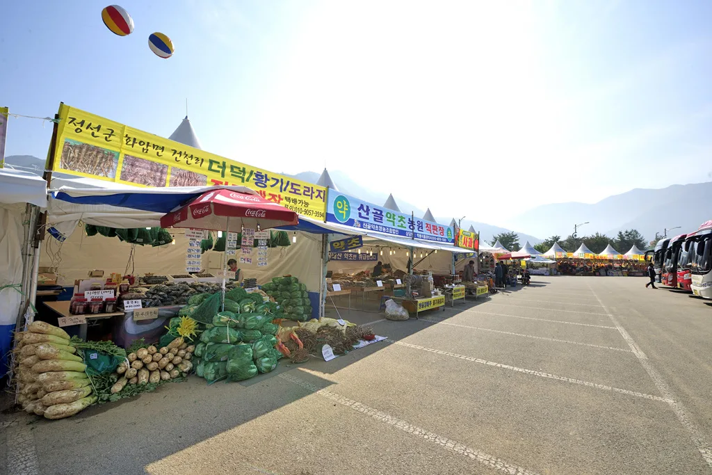 주차장 한편에 들어선 특산물 장터, 더덕·황기·도라지 등을 파는 천막 상점들과 관광버스