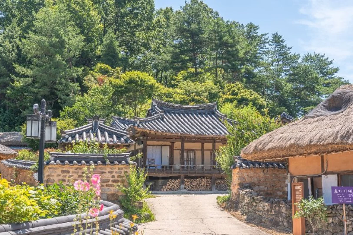 초가와 기와집, 돌담이 이어진 무섬마을 안길과 가로등