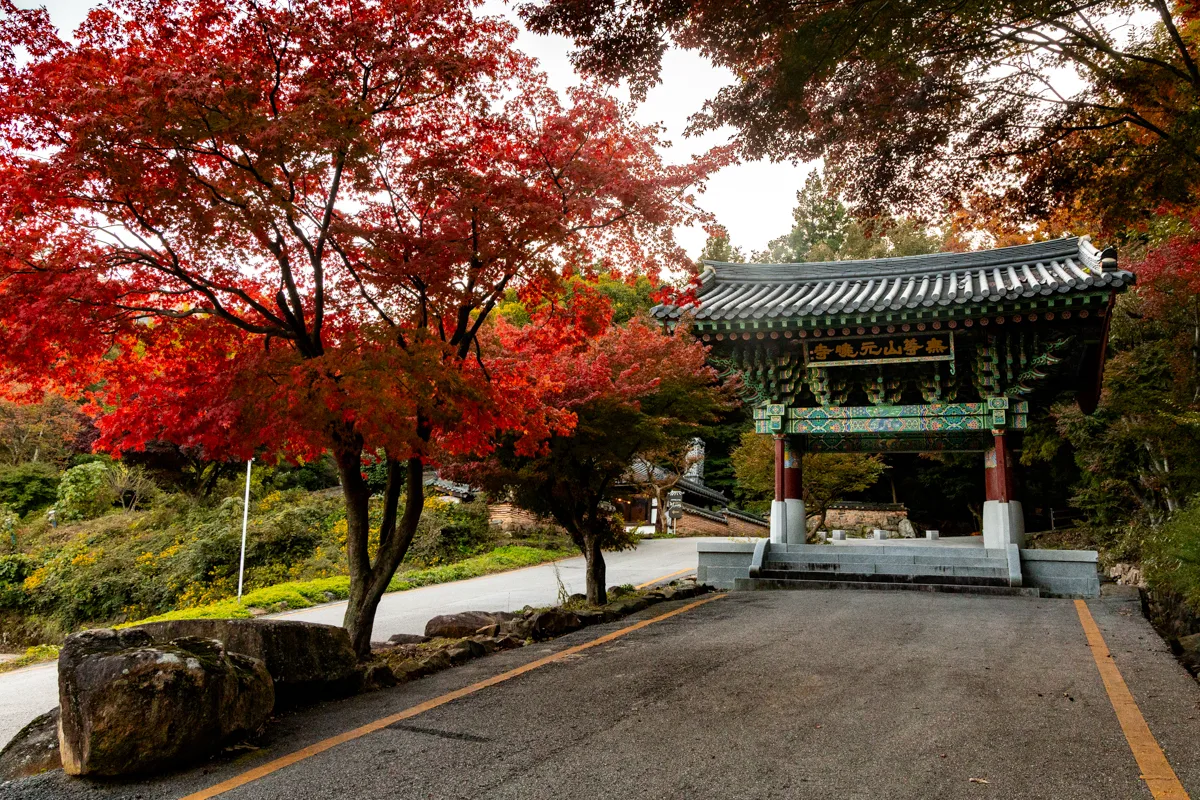 광주 무등산의 붉은 단풍과 사찰 일주문