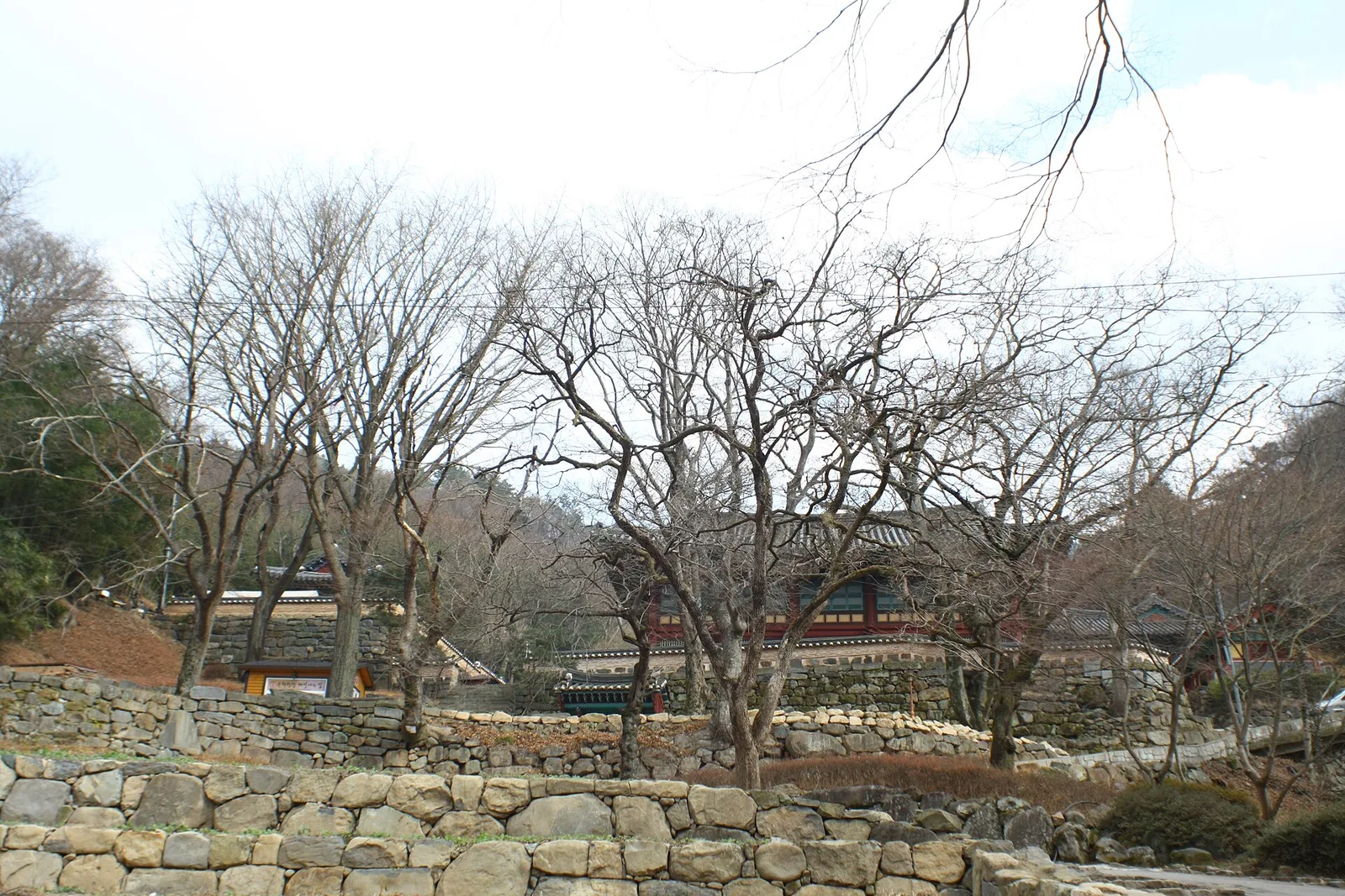 무등산 증심사 경내, 맞배지붕 전각과 돌계단, 뒤로 잎이 떨어진 나무들이 보인다