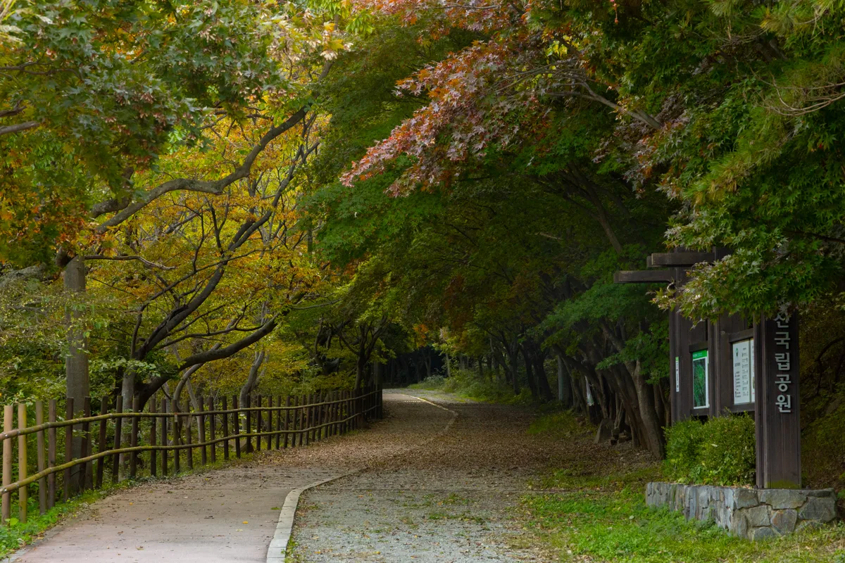 무등산국립공원 표지석이 있는 숲길