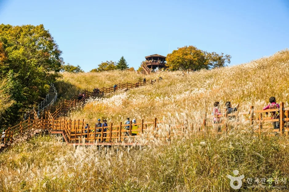명성산 억새밭 능선을 따라 이어지는 나무 데크길과 정상부 팔각정 전망대, 데크를 오르는 방문객들