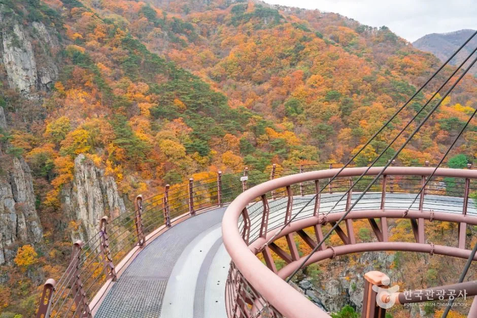 단풍이 든 산자락을 배경으로 붉은 난간의 곡선형 데크가 이어진 모습