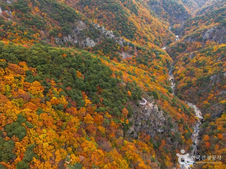 단풍이 짙게 든 산비탈 사이로 깊은 골짜기가 이어지는 항공 사진