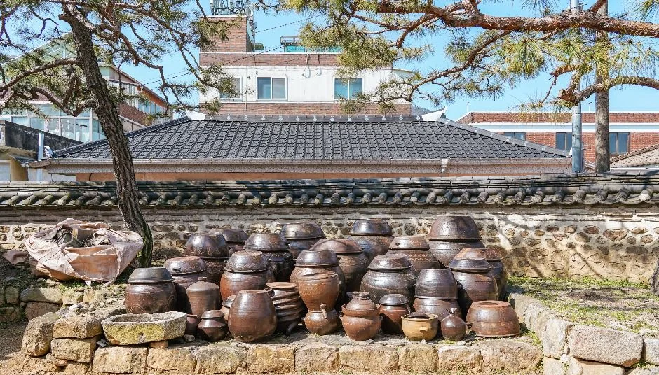 돌담 앞에 모아 둔 장독들과 기와지붕이 보이는 나주목사내아