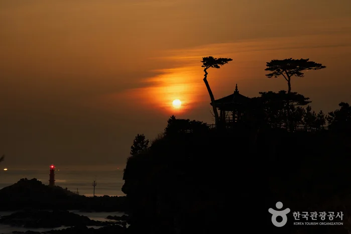 수평선 위 해와 소나무 사이에 서 있는 의상대 정자의 실루엣