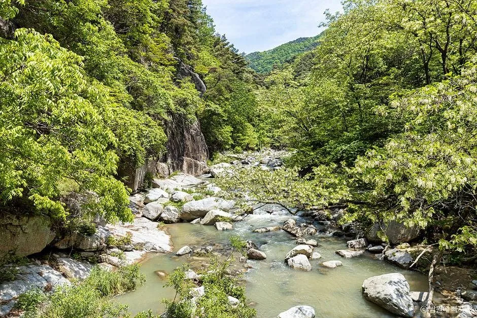 지리산국립공원 남원 구역의 계곡 물길