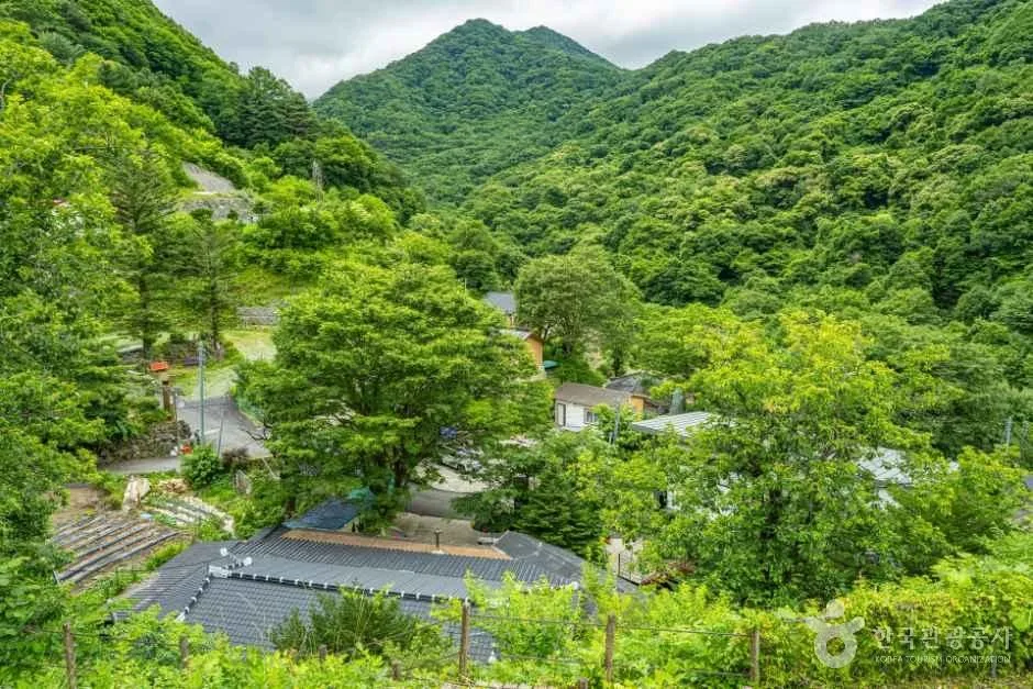 와운마을 일대 전경과 지리산 능선