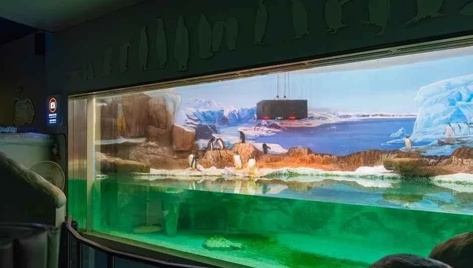 빙하 배경 그림 앞에 놓인 수조 전시창