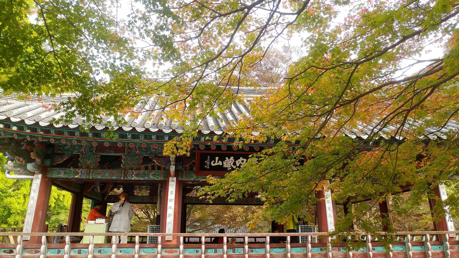 전각 처마 앞으로 초록과 노랑 잎이 섞인 내장산 풍경