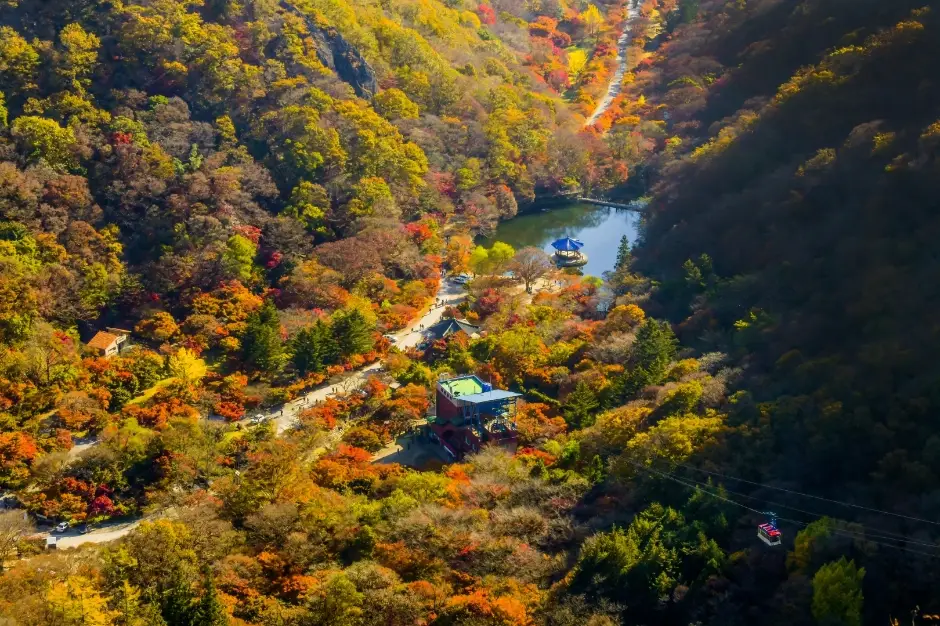 연못과 탐방로 주변이 붉게 물든 내장산 계곡을 위에서 본 모습