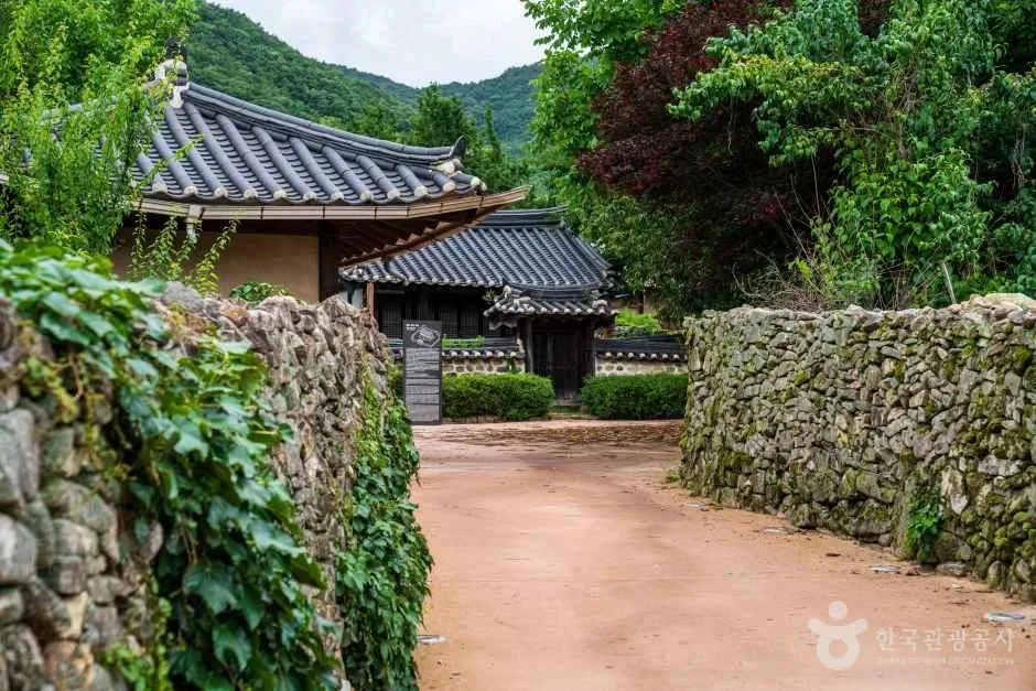 담쟁이가 덮인 돌담 모퉁이 너머로 기와 건물이 보이는 흙길