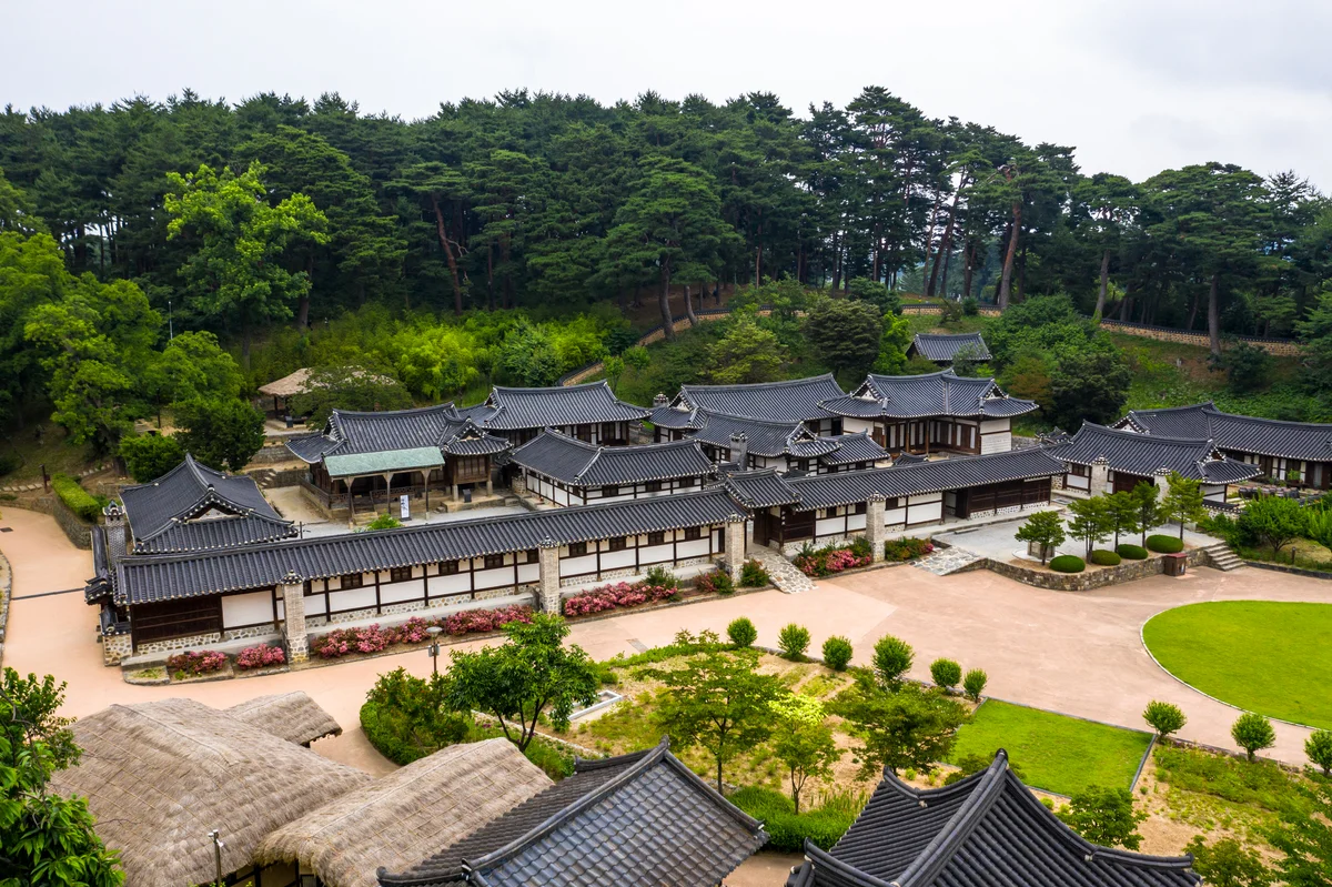 소나무 숲을 뒤로 기와지붕이 이어진 강릉 선교장 전경을 위에서 본 모습