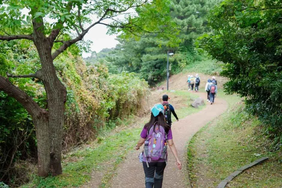 나무가 우거진 숲길을 걷는 올레길 참가자들