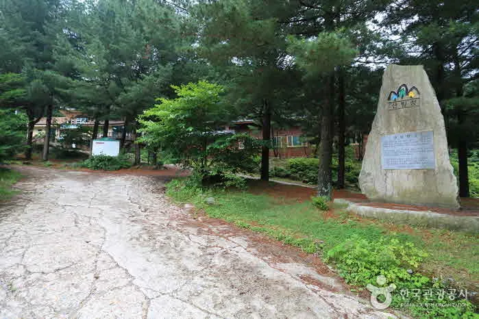 팔봉산관광지 입구의 표지석과 소나무 숲길