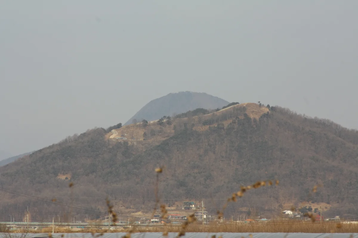 마른 풀이 덮인 겨울 파사산 능선 전경