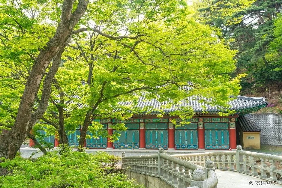 파계사 경내 돌다리와 신록 사이의 전각