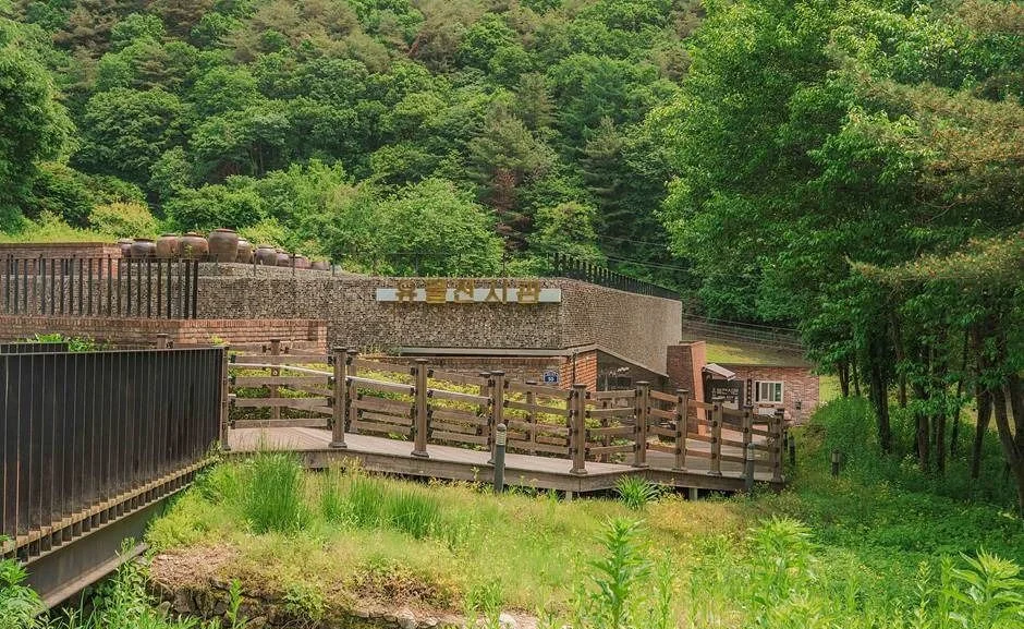 숲 사이로 이어지는 목재 데크 길