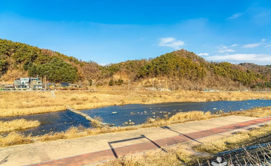 누런 풀이 덮인 언덕 아래로 물길이 흐르는 섬강 일대