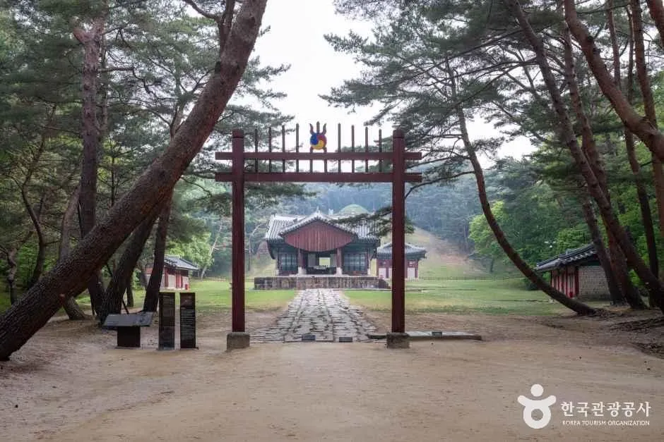 소나무가 양옆에 선 능역 참도 끝에 홍살문과 정자각이 보이는 풍경