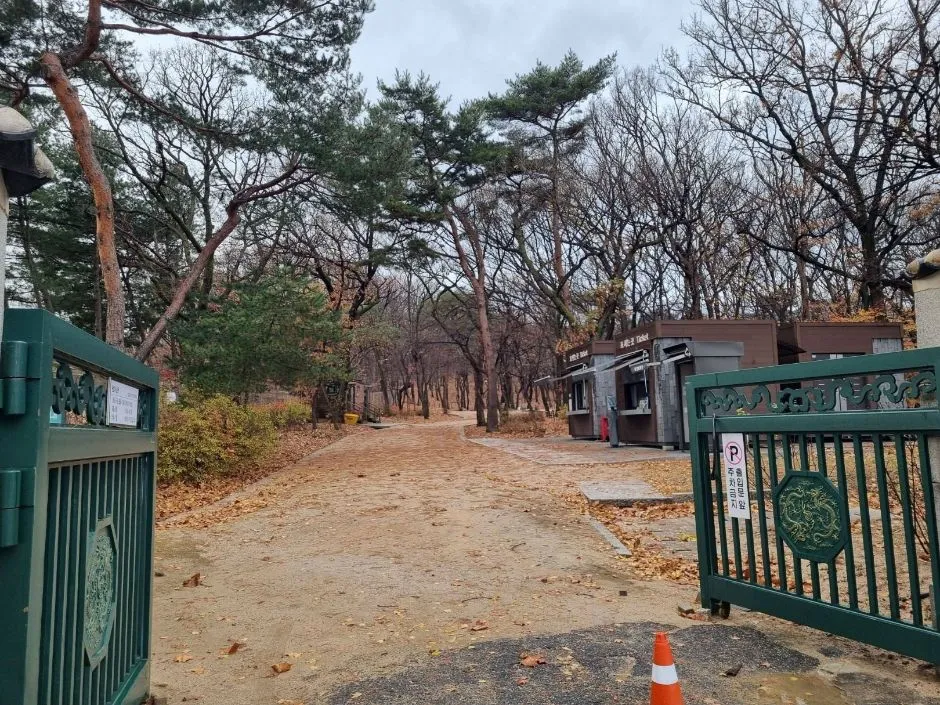 초록색 철제 울타리 옆으로 낙엽이 깔린 흙길과 소나무가 이어지는 능역 입구