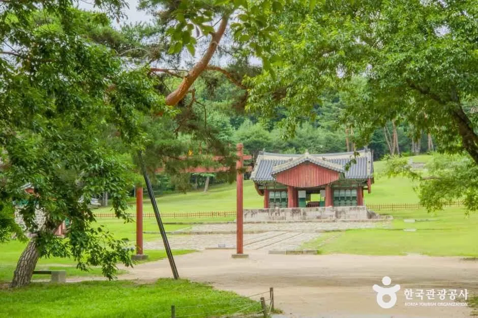 소나무와 활엽수 숲 사이로 흙길이 이어지고 멀리 정자각 지붕이 보이는 왕릉 숲길