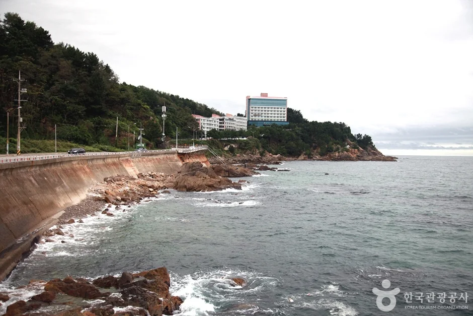 해안 바위 옆으로 난 도로와 멀리 보이는 건물