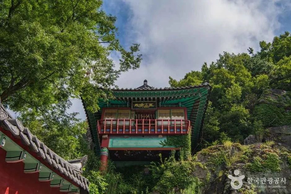 나무 사이로 보이는 녹색 지붕 전각
