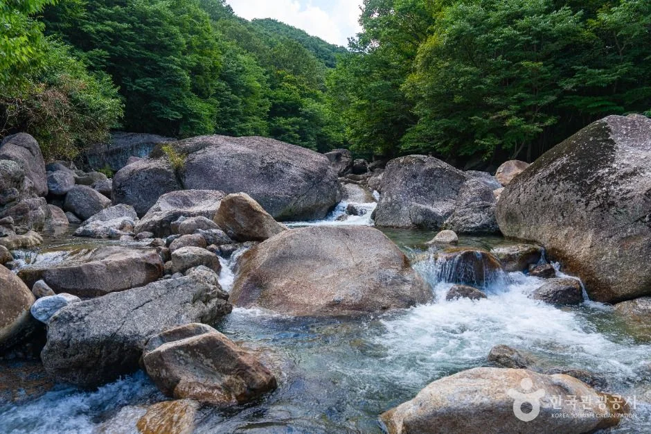 피아골계곡의 바위와 계류