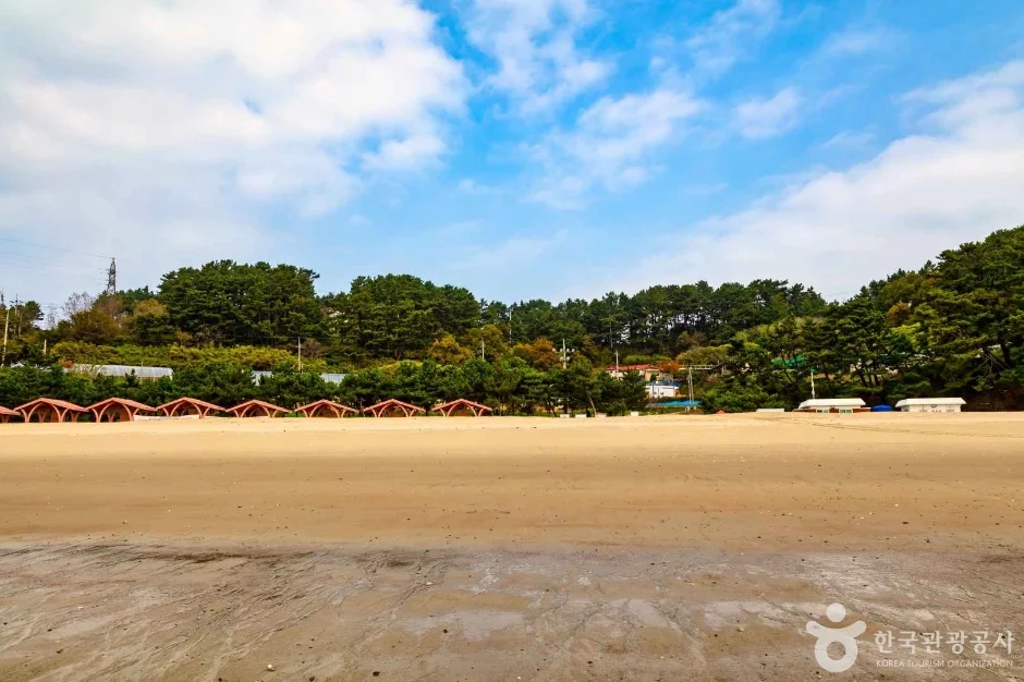 소나무 숲을 배경으로 지붕 있는 쉼터가 줄지어 선 모래 해변