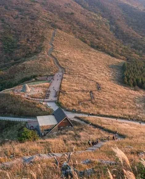 억새 능선 사이로 길이 이어지고 작은 쉼터 건물이 보이는 항공 시점 풍경
