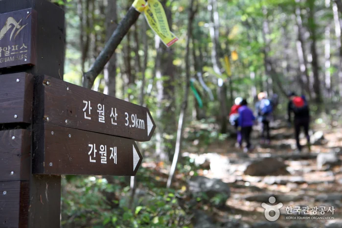 숲길에서 간월산 3.9km와 간월재 방향이 적힌 이정표 옆을 걷는 등산객들