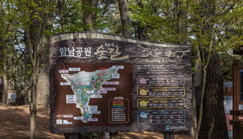 소나무 사이에 세워진 암남공원 안내 지도판
