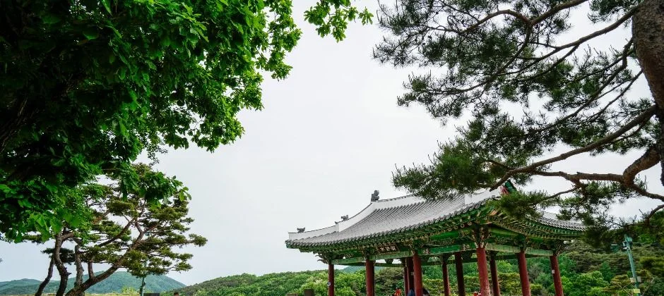 소나무 옆 높은 터에 선 상당산성 안 정자 형태의 누각