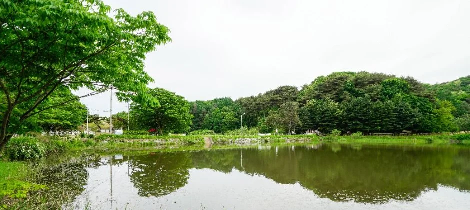 상당산성 안쪽 저수지의 잔잔한 수면과 주변 숲