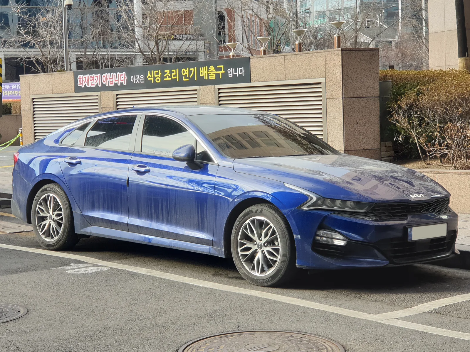파란색 기아 K5(DL3)가 건물 앞 도로에 주차된 앞쪽 대각선 모습, 기아 로고와 번호판이 보인다