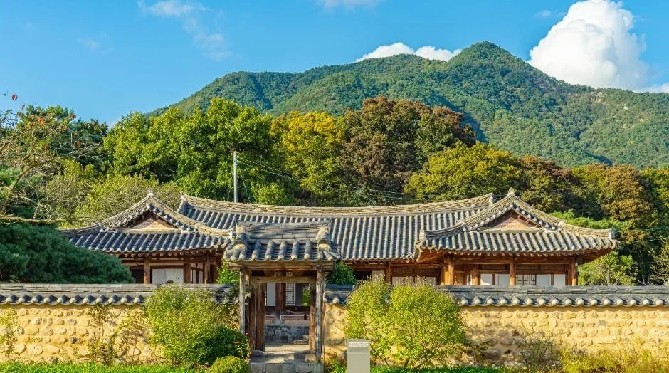 산을 배경으로 한 고택 전경과 담장