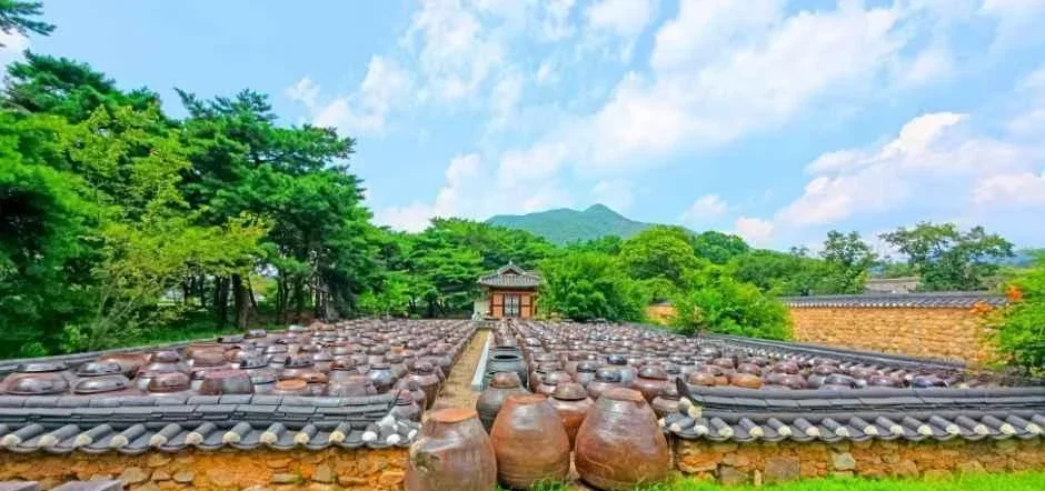 기와 담장 위로 줄지어 놓인 장독대와 멀리 보이는 산
