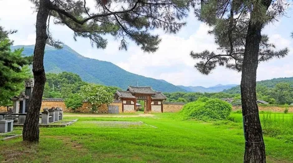 소나무 사이로 멀리 보이는 고택의 대문과 산