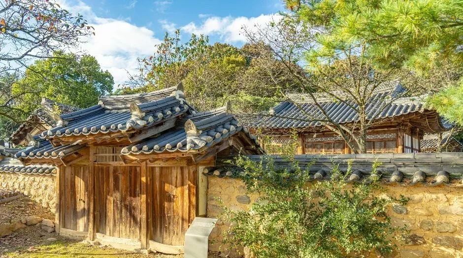 나무 대문이 달린 기와 담장