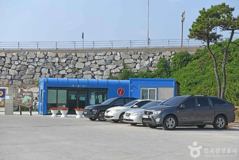 장자도 여객터미널 앞 공터에 차량이 세워진 모습