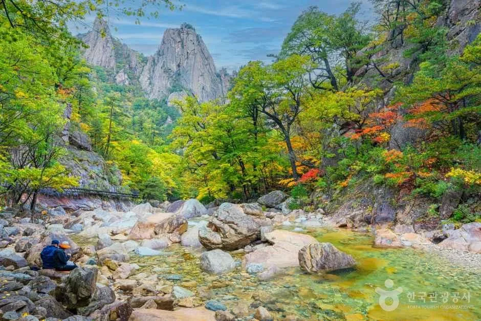 초록 숲 위로 암봉이 솟고 계곡 바위 사이로 물이 흐르는 설악산 풍경