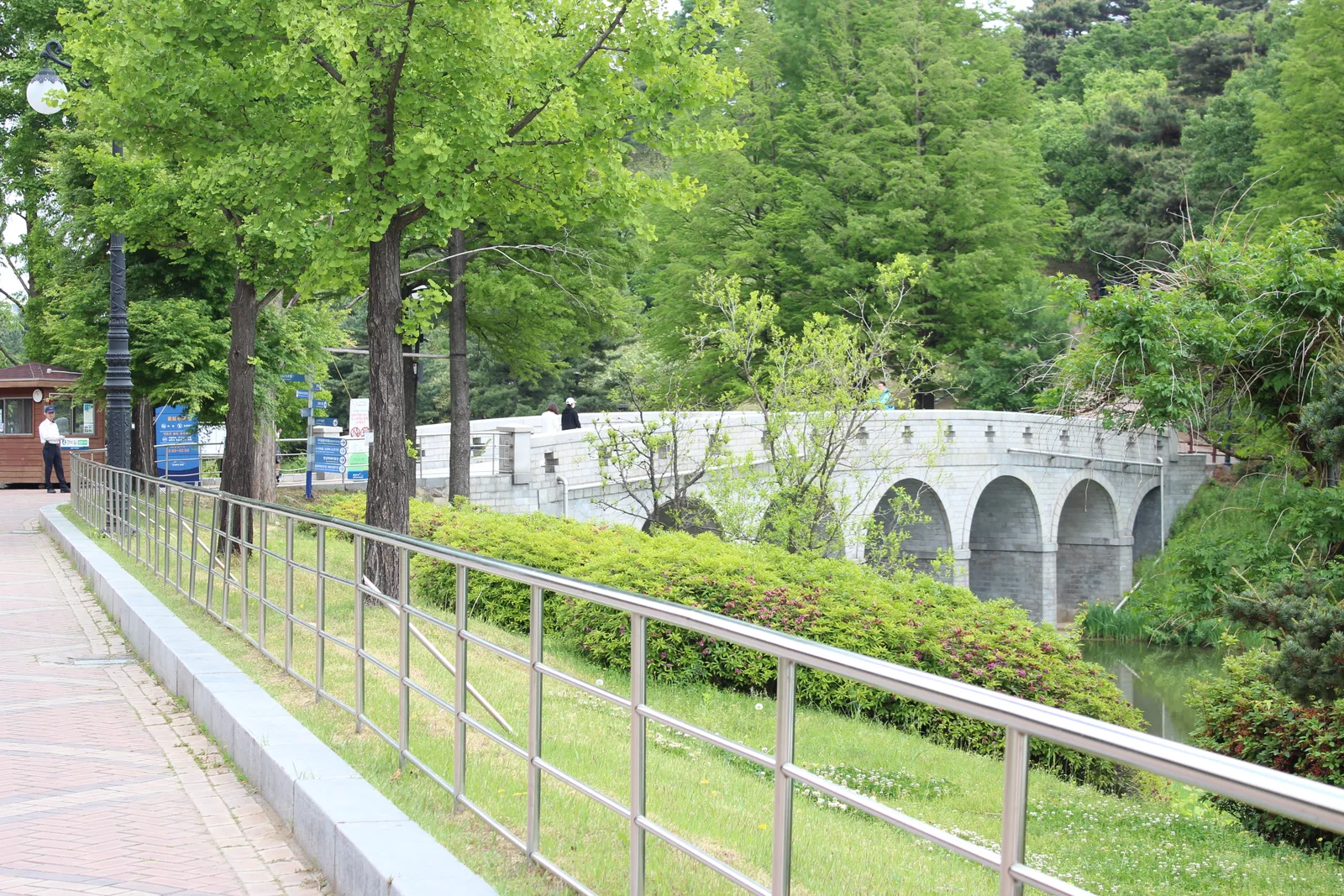 올림픽공원 몽촌토성으로 이어지는 아치형 석조 다리 앞에 늘어선 은행나무들, 초록빛 잎이 무성하다
